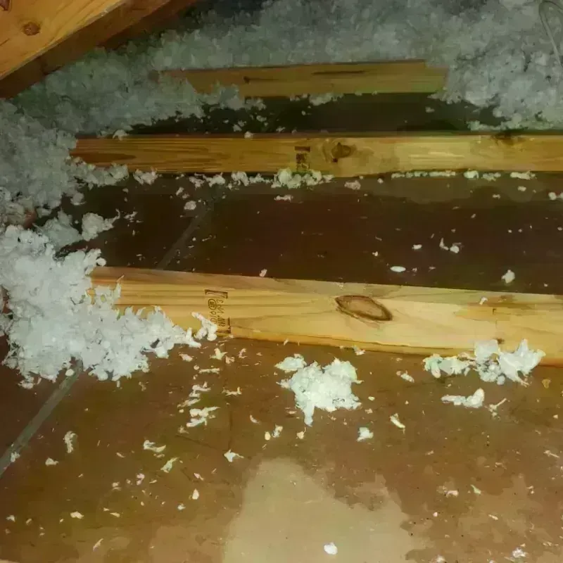 Attic Water Damage in Ottawa, OH