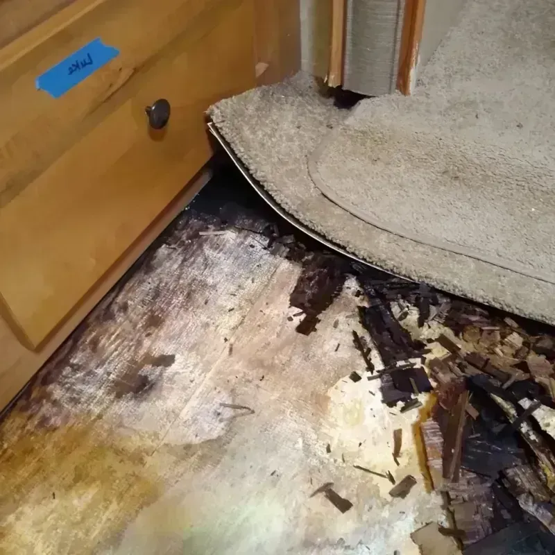 Wood Floor Water Damage in Ottawa, OH